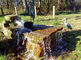 Holiday house Hornbæk  23
