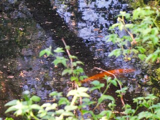 Casa de vacaciones Hornbæk  27