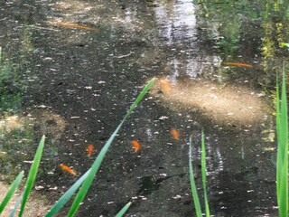 Casa per le vacanze Hornbæk  7