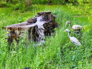 Casa de vacaciones Hornbæk  28