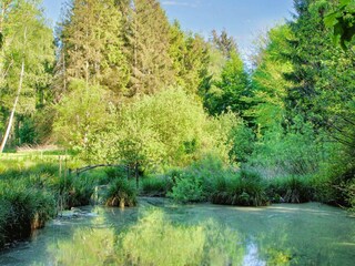 Casa de vacaciones Hornbæk  19