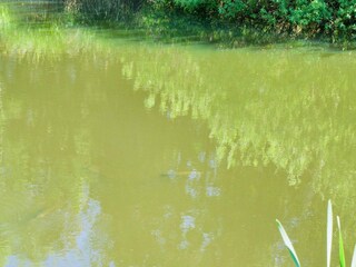 Holiday house Hornbæk  11