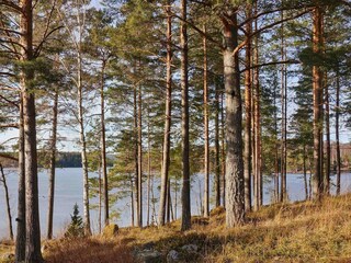 Holiday house Årjäng  7