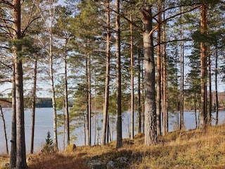 Ferienhaus Årjäng  15