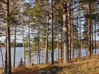 Vakantiehuis Årjäng  7