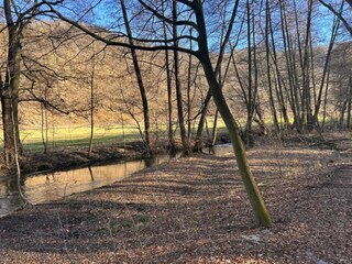 Appartamento Ballenstedt Ambiente 20