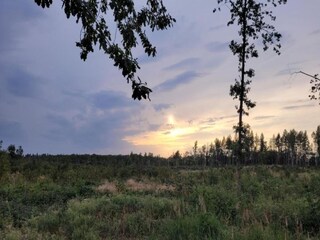 Apartment Ballenstedt Umgebung 33