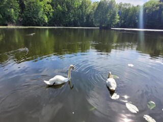 Appartement Ballenstedt Omgeving 24