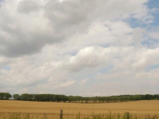 Apartment Ballenstedt Umgebung 34