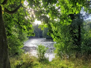 Apartment Ballenstedt Umgebung 35