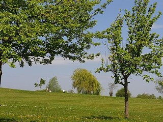 Appartement Ballenstedt Omgeving 36