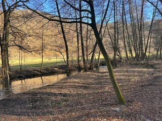 Apartamento Ballenstedt Entorno 30