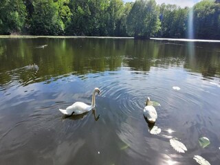 Apartment Ballenstedt Umgebung 32