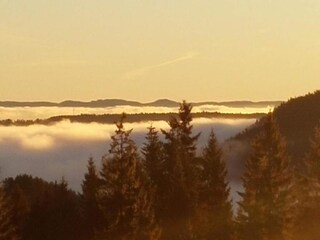 Apartamento Ballenstedt Entorno 19