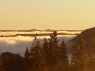 Apartment Ballenstedt Umgebung 19