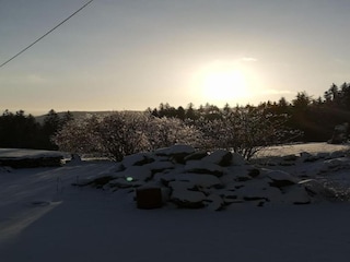 Apartment Ballenstedt Umgebung 31