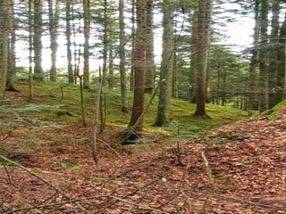 Apartamento Ballenstedt Entorno 24