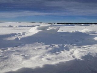 Apartment Ballenstedt Environment 21