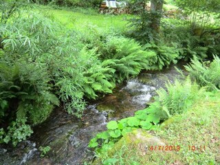 Appartamento Ballenstedt Ambiente 33