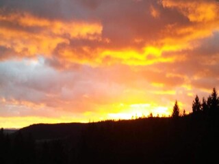 Apartment Ballenstedt Umgebung 27