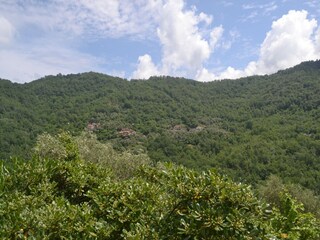 Casa de vacaciones Testico Entorno 38