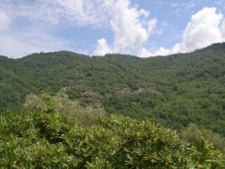 Casa de vacaciones Testico Entorno 38