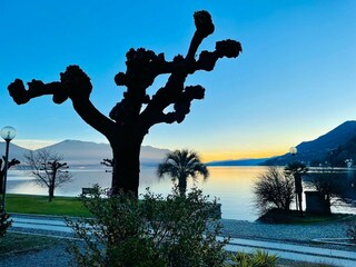 Casa de vacaciones Trarego Viggiona Entorno 31