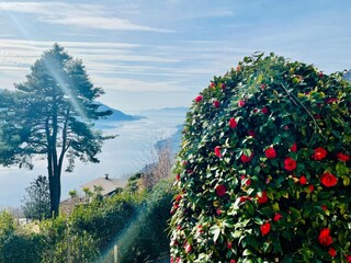 Casa per le vacanze Trarego Viggiona Ambiente 36