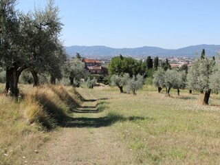 Villa Pistoia Buitenaudio-opname 9