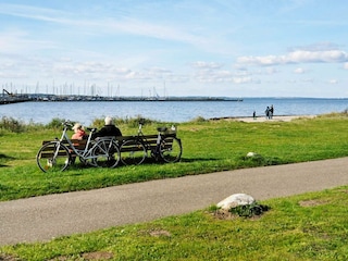 Ferienhaus Wackerballig  15