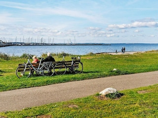 Ferienhaus Wackerballig  38