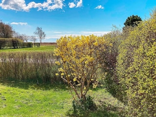 Ferienhaus Nysted Außenaufnahme 4