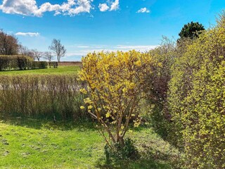 Vakantiehuis Nysted Buitenaudio-opname 4