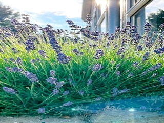 Maison de vacances Nysted Enregistrement extérieur 3