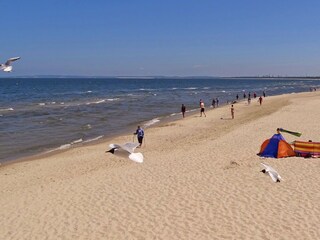 Strand von Zinnowitz