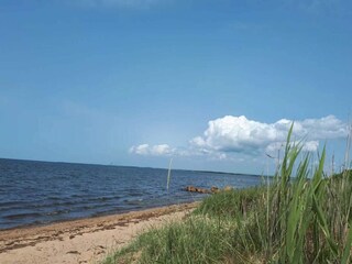 Vakantiehuis Skaven Strand  18