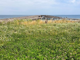 Vakantiehuis Als  24
