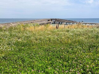 Vakantiehuis Als  35