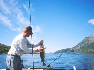 Holiday house Inndyr  17