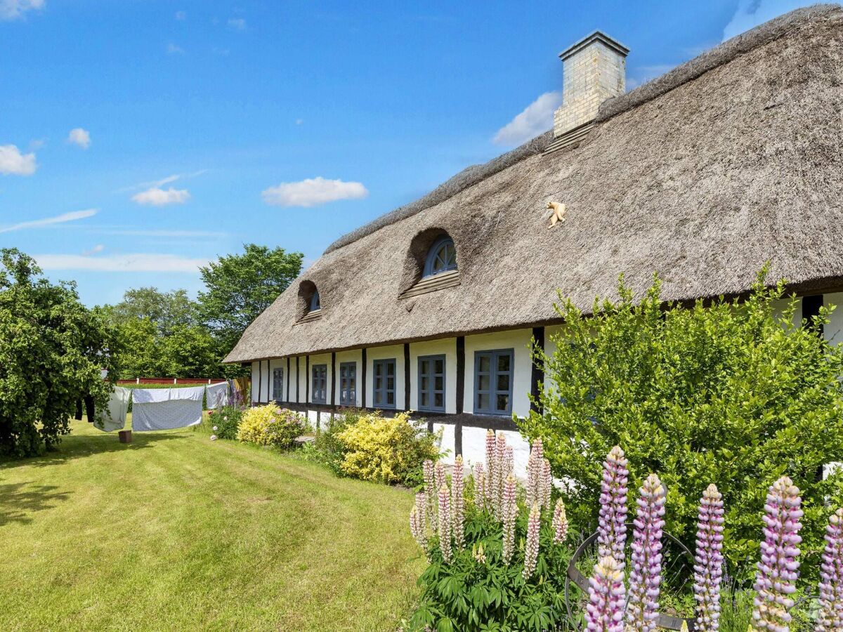 Ferienhaus Als Außenaufnahme 1