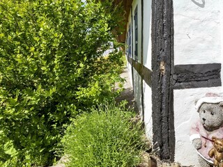 Ferienhaus Als  29