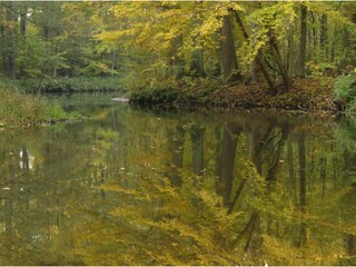 Casa per le vacanze Lübben Ambiente 19