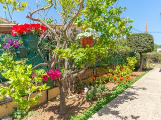 TERRAZA 1