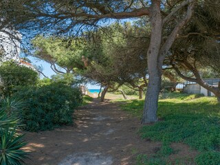 Casa per le vacanze Playa de Muro Ambiente 37