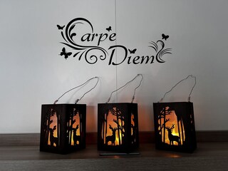 Apartamento de vacaciones Saas-Fee Características 20