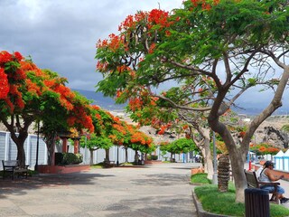 Appartamento per vacanze Alcalá Ambiente 34