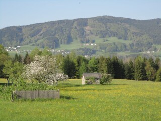 Holiday apartment Mondsee Outdoor Recording 4