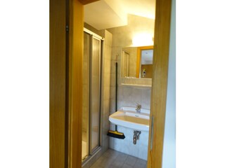 Appartamento per vacanze Mondsee Caratteristiche 9