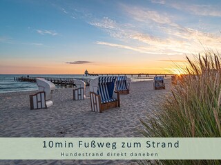 Ferienhaus Zingst Außenaufnahme 2