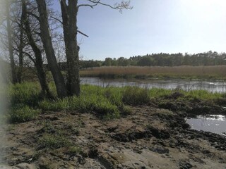 Ferienhaus Truust  29